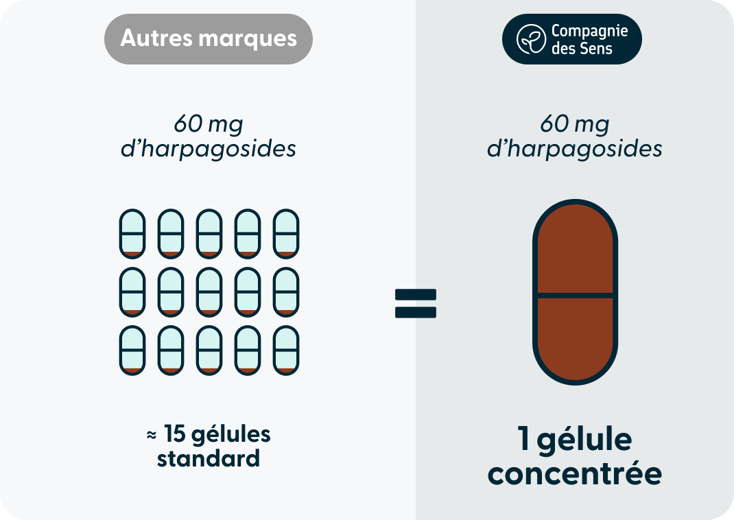 Dosage harpagosides gélule